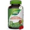 image:imageNatures Way Organic Apple Cider Vinegar Gummies USDA Certified Organic 500 mg Organic ACV per 2Gummy Serving Vegan Plant Based Pectin Apple Flavored60 GummiesOrganic Apple Cider Vinegar